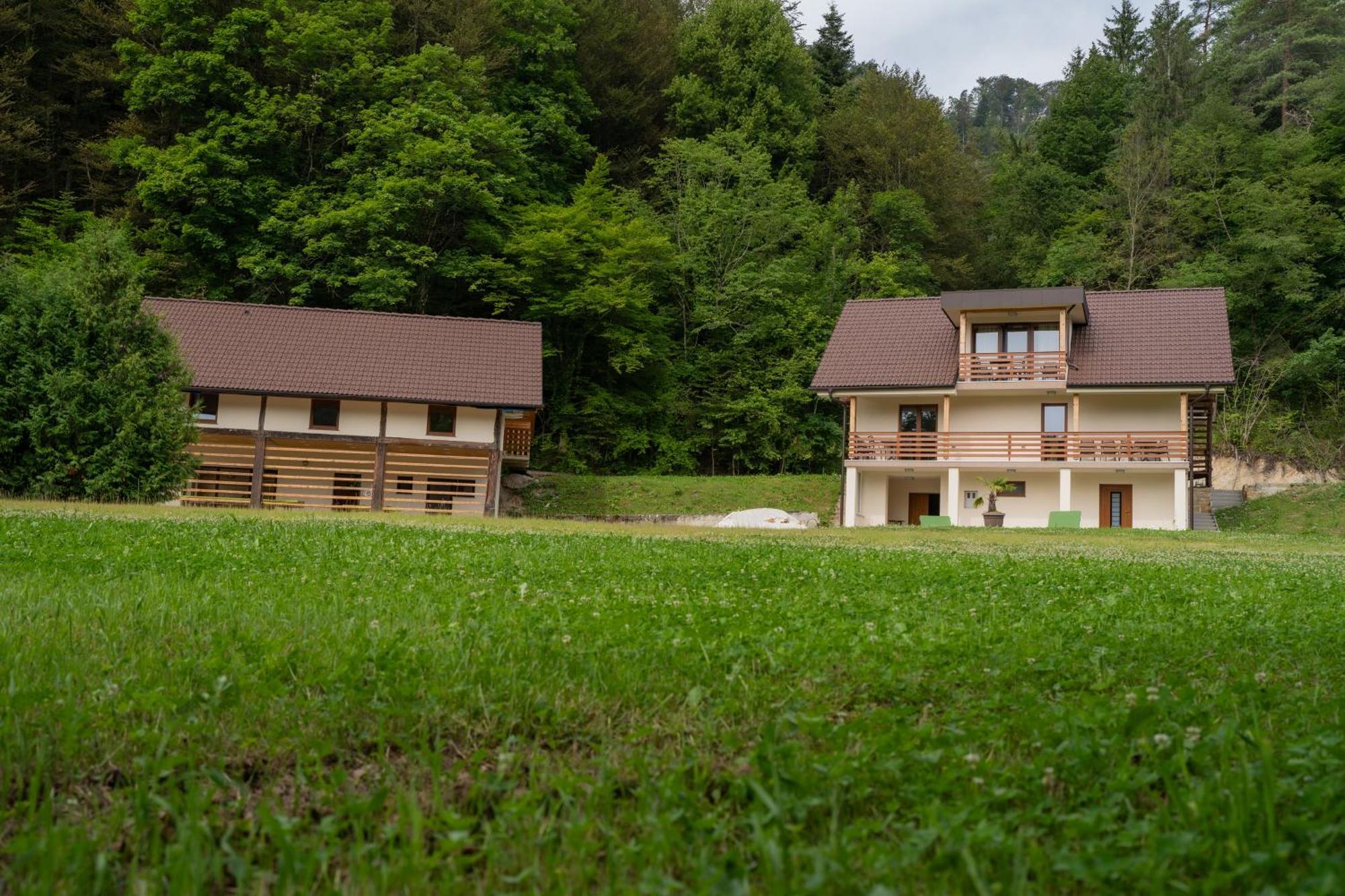 Ribnik Stari Trg Apartment Lesicno Exterior foto